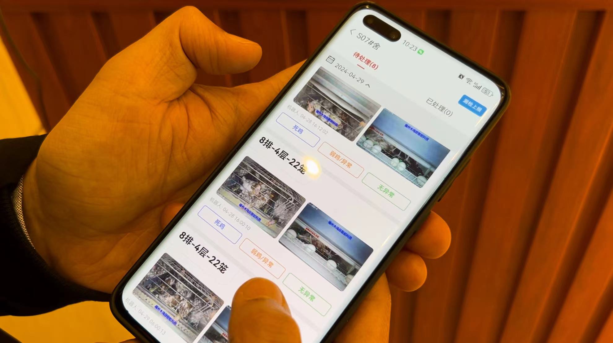 12萬(wàn)羽蛋雞，“一個(gè)人”就能管！